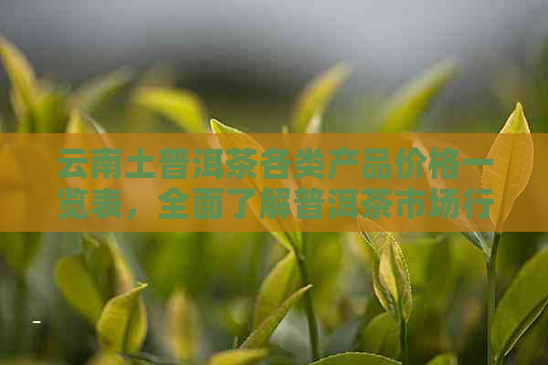 云南土普洱茶各类产品价格一览表，全面了解普洱茶市场行情