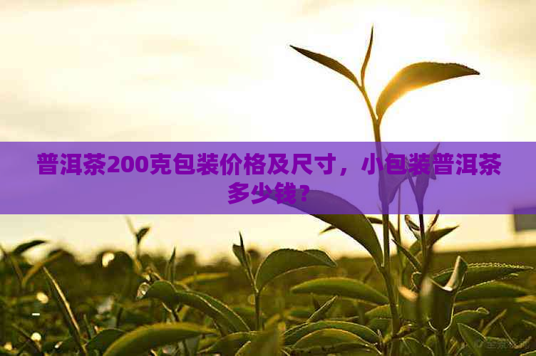 普洱茶200克包装价格及尺寸，小包装普洱茶多少钱？