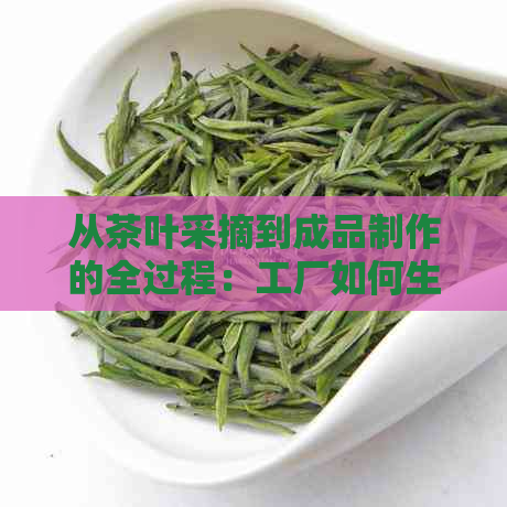 从茶叶采摘到成品制作的全过程：工厂如何生产普洱茶？