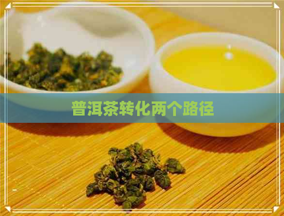 普洱茶转化两个路径