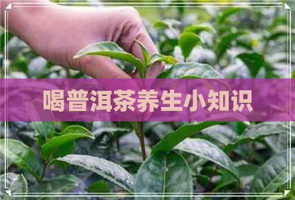 喝普洱茶养生小知识