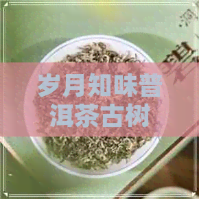 岁月知味普洱茶古树