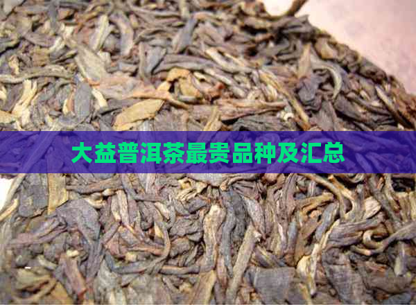 大益普洱茶最贵品种及汇总