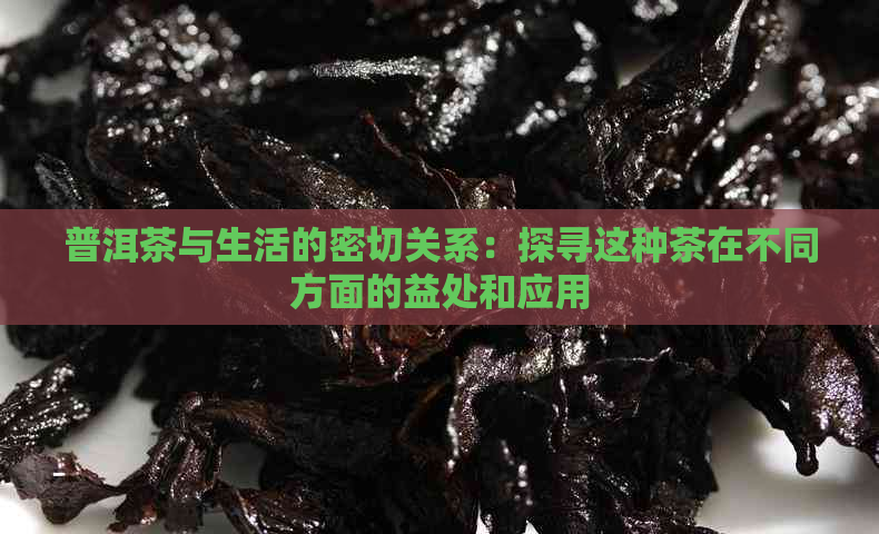 普洱茶与生活的密切关系：探寻这种茶在不同方面的益处和应用