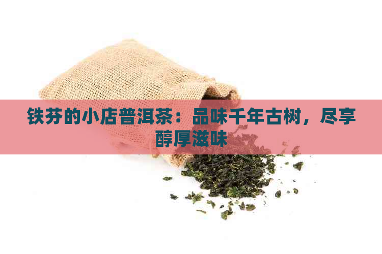 铁芬的小店普洱茶：品味千年古树，尽享醇厚滋味