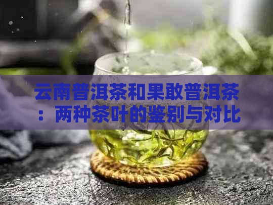 云南普洱茶和果敢普洱茶：两种茶叶的鉴别与对比