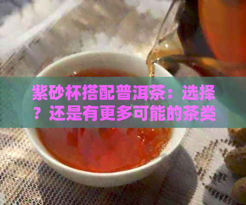 紫砂杯搭配普洱茶：选择？还是有更多可能的茶类？