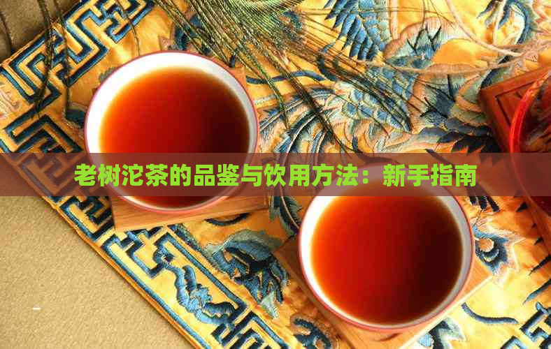 老树沱茶的品鉴与饮用方法：新手指南