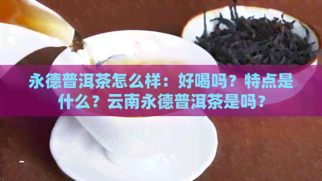 永德普洱茶怎么样：好喝吗？特点是什么？云南永德普洱茶是吗？