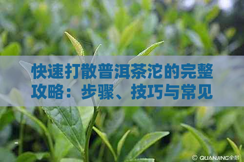 快速打散普洱茶沱的完整攻略：步骤、技巧与常见工具推荐