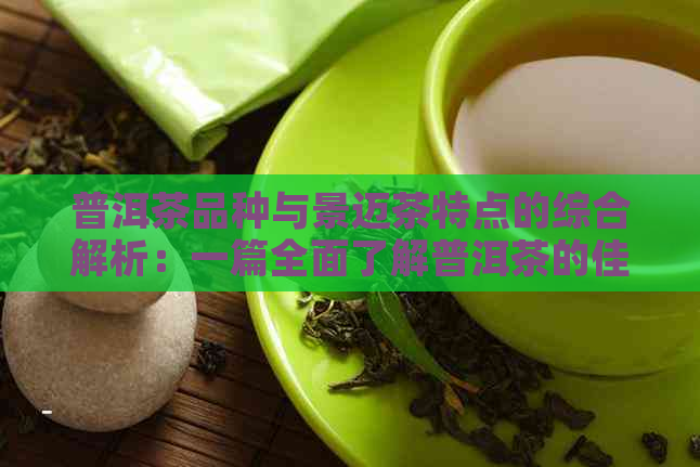 普洱茶品种与景迈茶特点的综合解析：一篇全面了解普洱茶的佳作