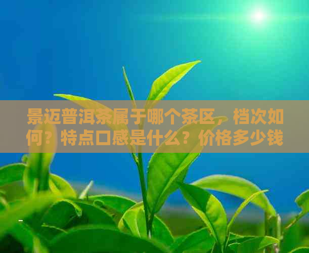 景迈普洱茶属于哪个茶区，档次如何？特点口感是什么？价格多少钱一斤？