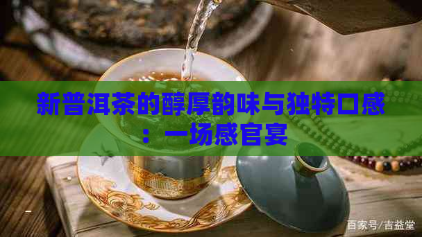 新普洱茶的醇厚韵味与独特口感：一场感官宴