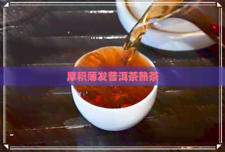 厚积薄发普洱茶熟茶