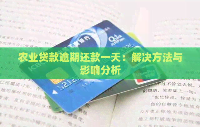 农业贷款逾期还款一天：解决方法与影响分析