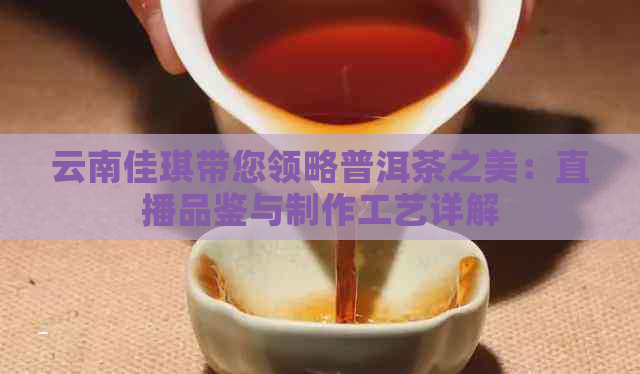 云南佳琪带您领略普洱茶之美：直播品鉴与制作工艺详解