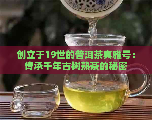 创立于19世的普洱茶真雅号：传承千年古树熟茶的秘密