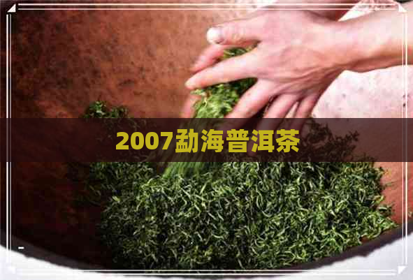 2007勐海普洱茶