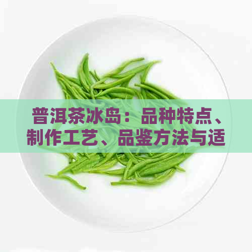 普洱茶冰岛：品种特点、制作工艺、品鉴方法与适合的饮用场景全面解析