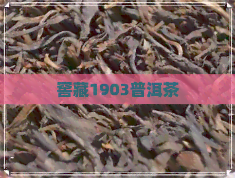 窖藏1903普洱茶