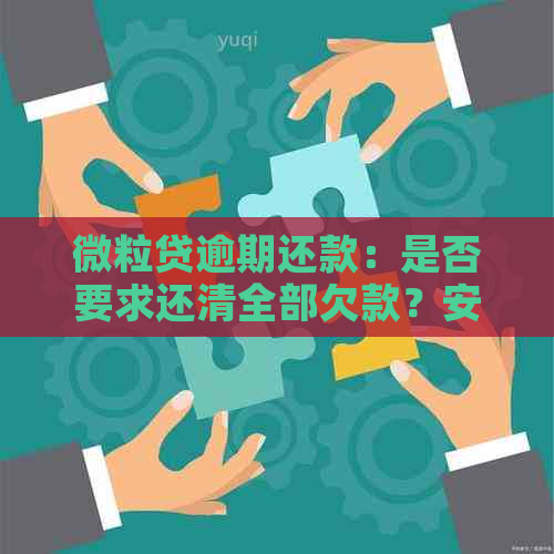 微粒贷逾期还款：是否要求还清全部欠款？安全性如何保障？