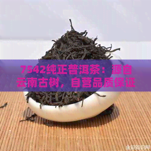 7542纯正普洱茶：源自云南古树，自营品质保证，茶香浓，回悠长