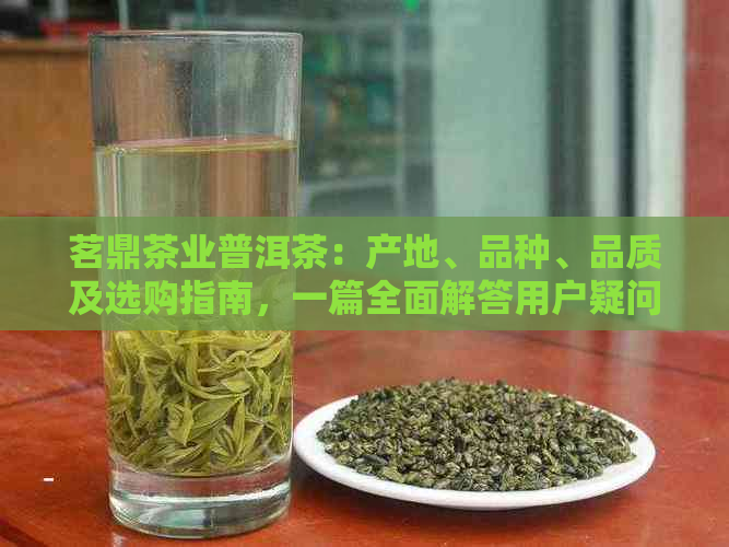 茗鼎茶业普洱茶：产地、品种、品质及选购指南，一篇全面解答用户疑问的文章