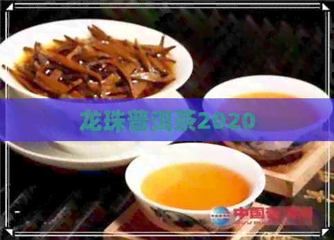 龙珠普洱茶2020