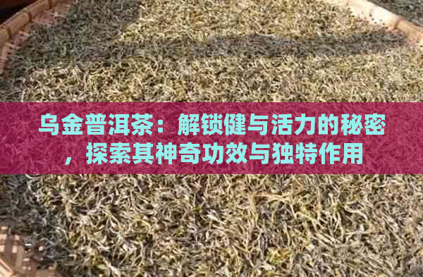 乌金普洱茶：解锁健与活力的秘密，探索其神奇功效与独特作用