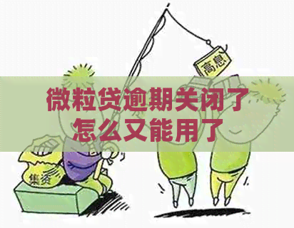 微粒贷逾期关闭了怎么又能用了