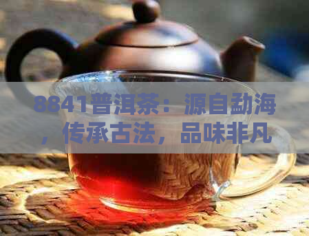 8841普洱茶：源自勐海，传承古法，品味非凡