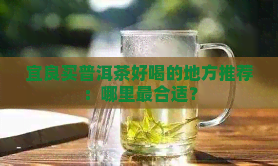 宜良买普洱茶好喝的地方推荐：哪里最合适？