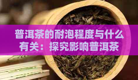 普洱茶的耐泡程度与什么有关：探究影响普洱茶冲泡次数的因素