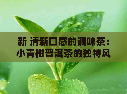 新 清新口感的调味茶：小青柑普洱茶的独特风味