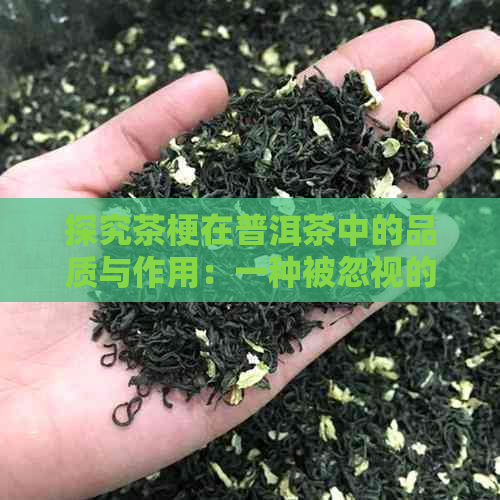 探究茶梗在普洱茶中的品质与作用：一种被忽视的茶叶成分