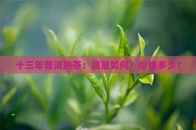 十三年普洱熟茶：质量如何？价格多少？