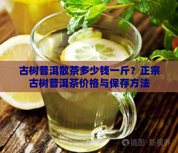 古树普洱散茶多少钱一斤？正宗古树普洱茶价格与保存方法