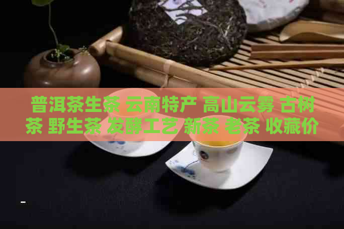 普洱茶生茶 云南特产 高山云雾 古树茶 野生茶 发酵工艺 新茶 老茶 收藏价值