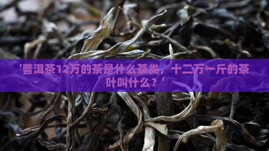 '普洱茶12万的茶是什么茶类，十二万一斤的茶叶叫什么？'