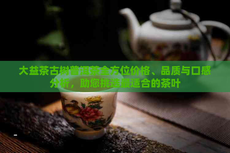 大益茶古树普洱茶全方位价格、品质与口感分析，助您挑选最适合的茶叶