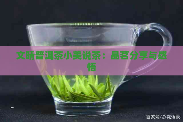 文晴普洱茶小美说茶：品茗分享与感悟