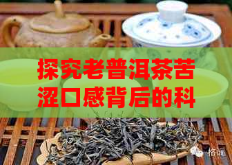 探究老普洱茶苦涩口感背后的科学原理，以及如何通过调整冲泡方法改善品质