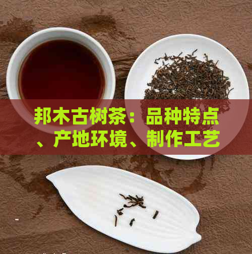 邦木古树茶：品种特点、产地环境、制作工艺与品饮体验全方位解析