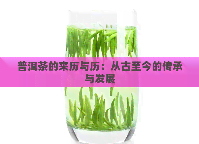 普洱茶的来历与历：从古至今的传承与发展