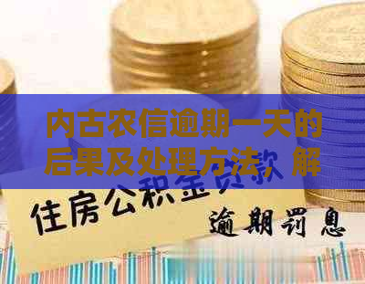 内古农信逾期一天的后果及处理方法，解答用户逾期关注的疑虑