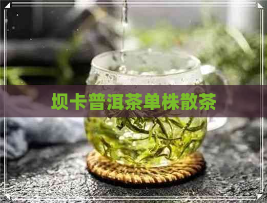 坝卡普洱茶单株散茶