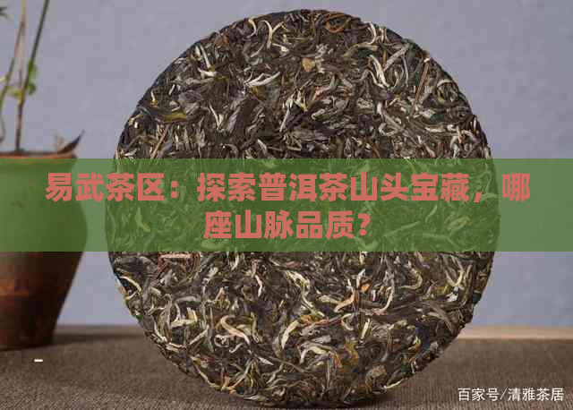 易武茶区：探索普洱茶山头宝藏，哪座山脉品质？