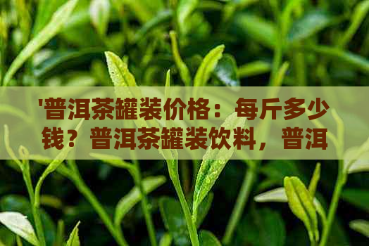 '普洱茶罐装价格：每斤多少钱？普洱茶罐装饮料，普洱茶罐装多少钱？'