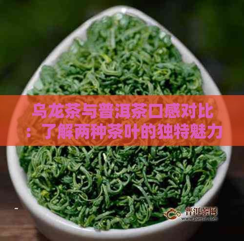 乌龙茶与普洱茶口感对比：了解两种茶叶的独特魅力及其适用场景