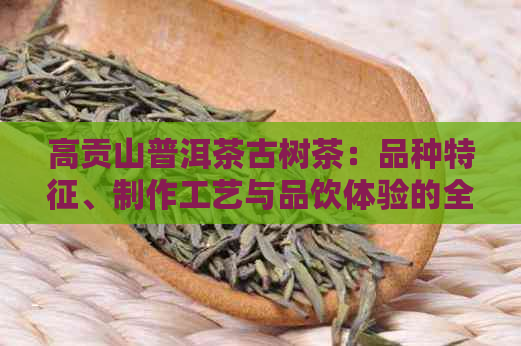 高贡山普洱茶古树茶：品种特征、制作工艺与品饮体验的全面指南